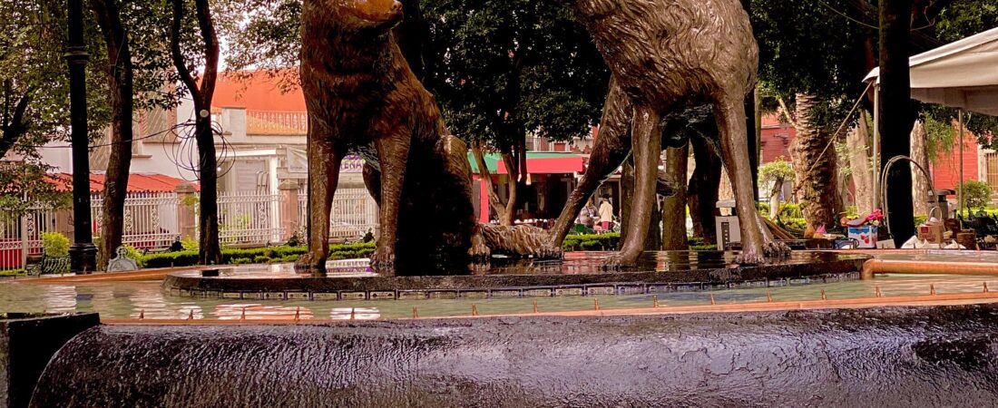 La Fuente de los Coyotes: la historia del emblema del barrio